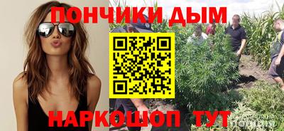 прущие крисы Гусев