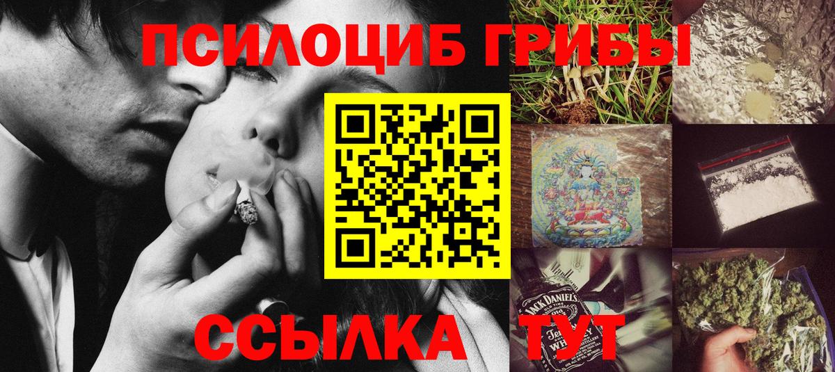 Псилоцибиновые грибы Psilocybe Кирово-Чепецк