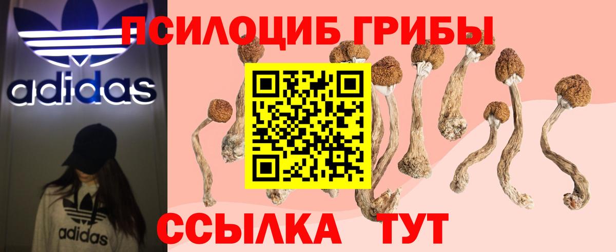 Кирово-Чепецк  Псилоцибиновые грибы мухоморы  Вход с VPN  Галлюциногенные грибы Magic Shrooms 
